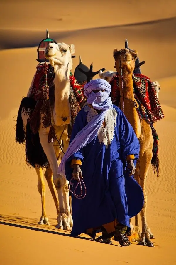 Berber camel guide in a blue djellaba leading a camel across the Sahara sand near Merzouga