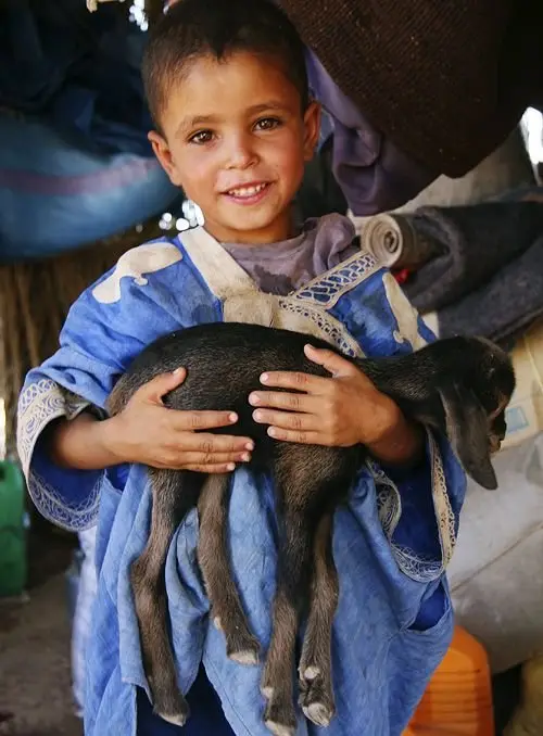 Berber child holding a baby goat outside a village house in southern Morocco