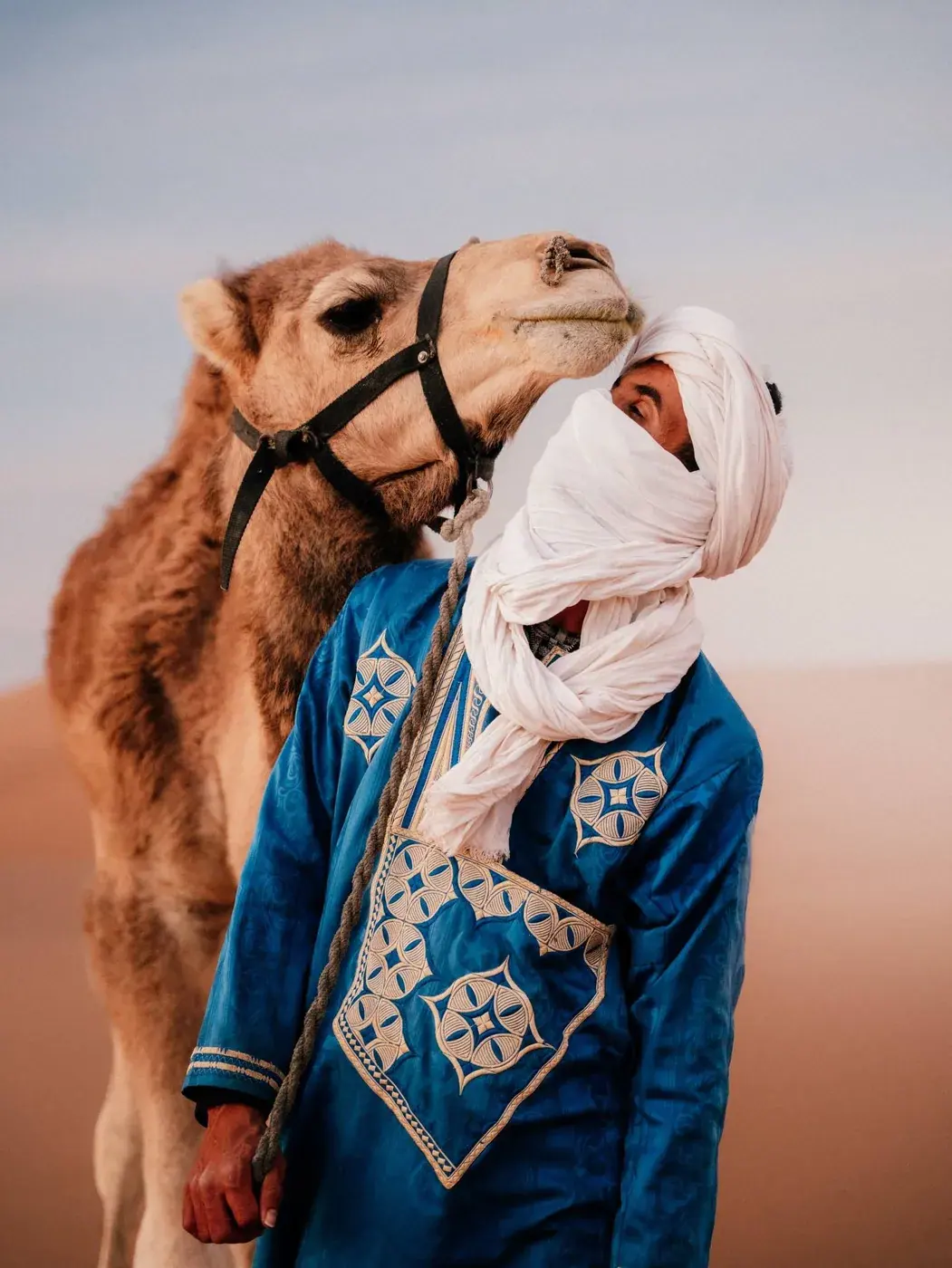 Berber guide leading a camel across the dunes of Erg Chebbi near Merzouga, Morocco