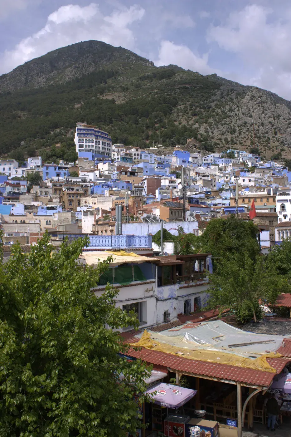 Panoramic view over the blue medina of Chefchaouen and the Rif Mountains, Morocco