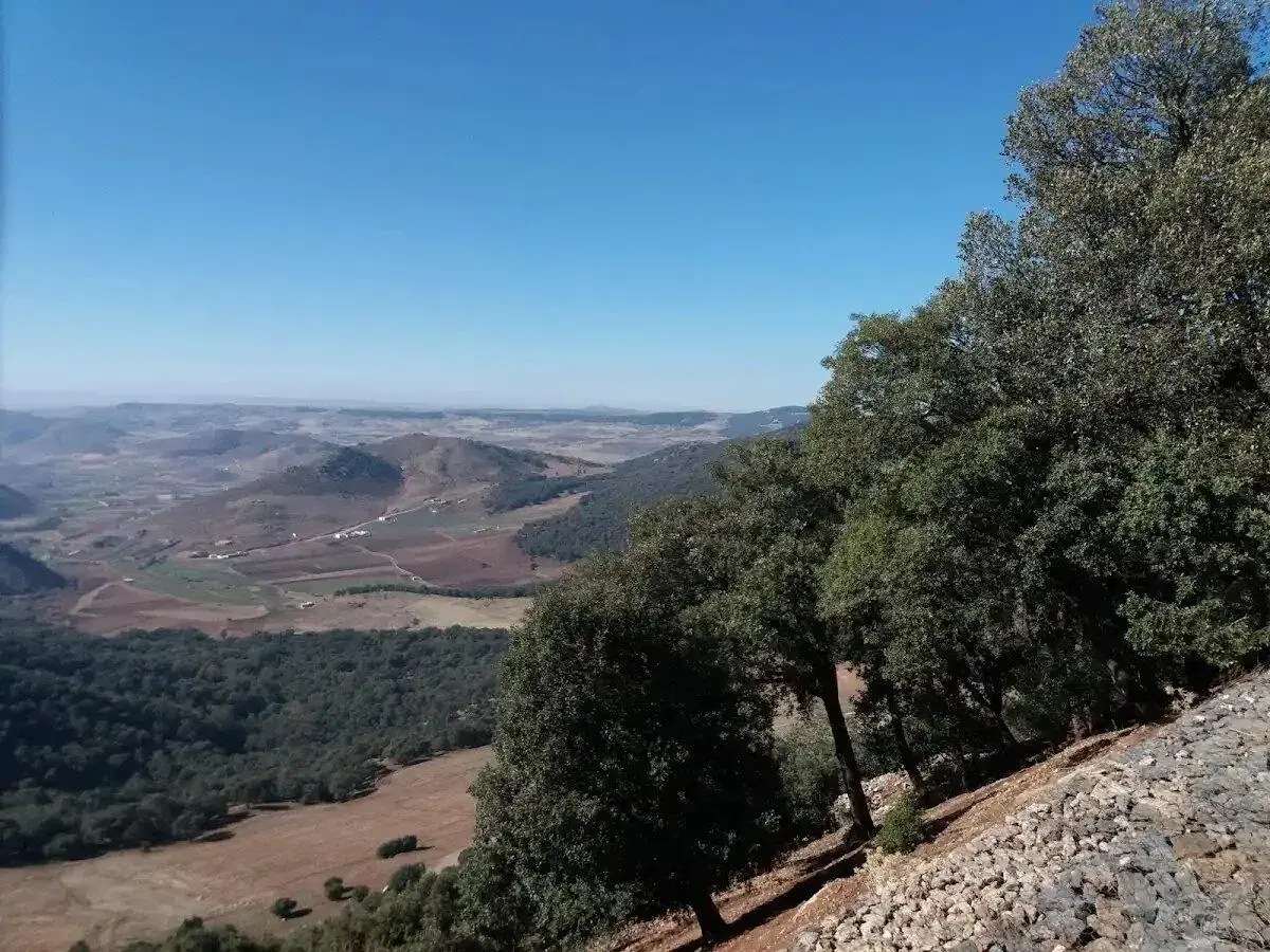 Ifrane's alpine-style architecture and cedar forest in the Middle Atlas