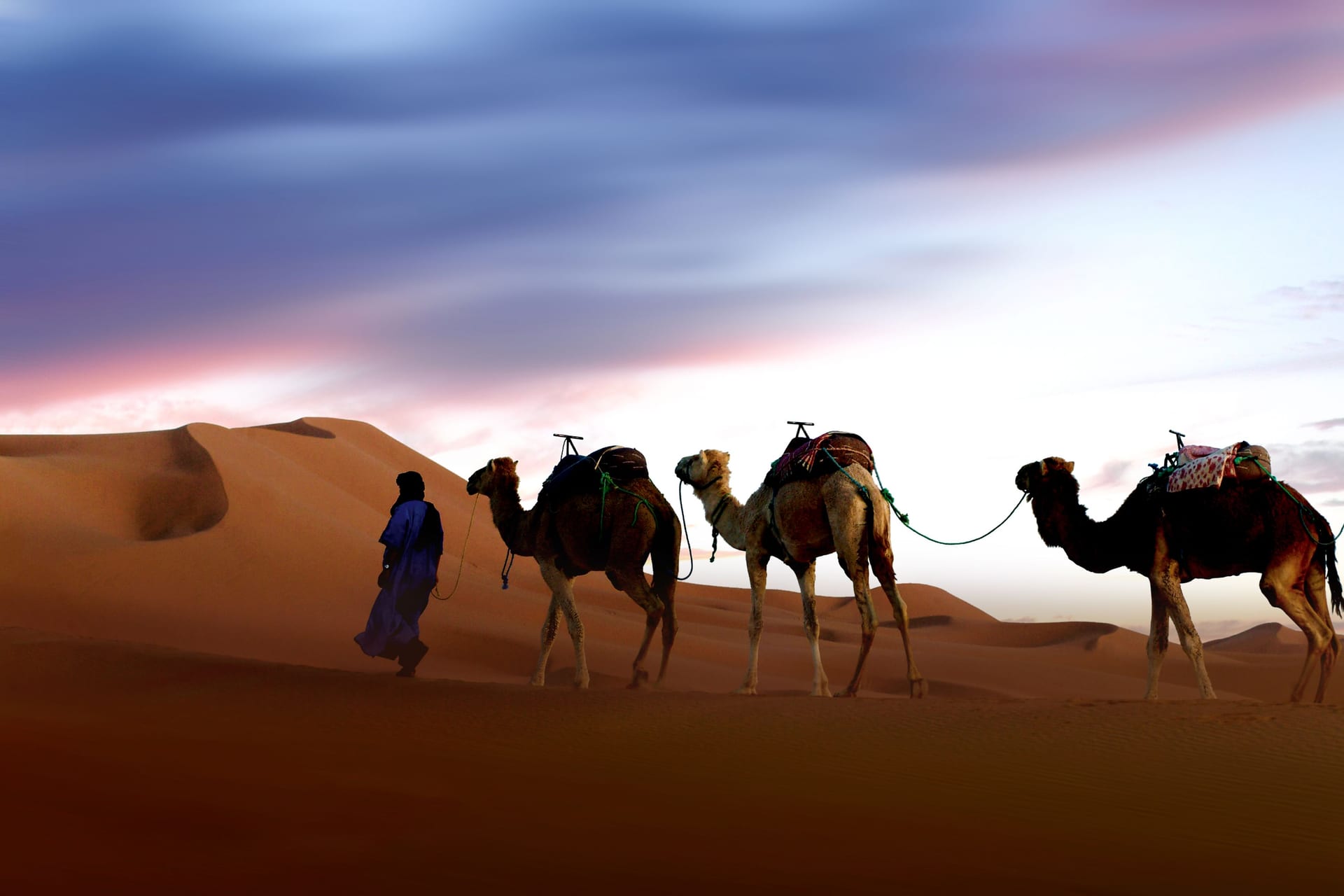 Berber guide leading a camel caravan across Erg Chebbi at dusk