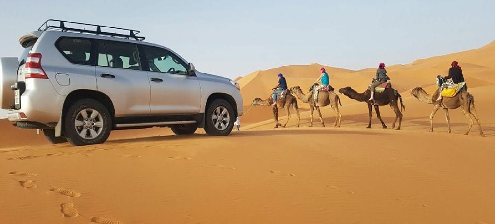 Private Land Cruiser alongside a camel caravan — the ultimate Sahara combo, Erg Chebbi