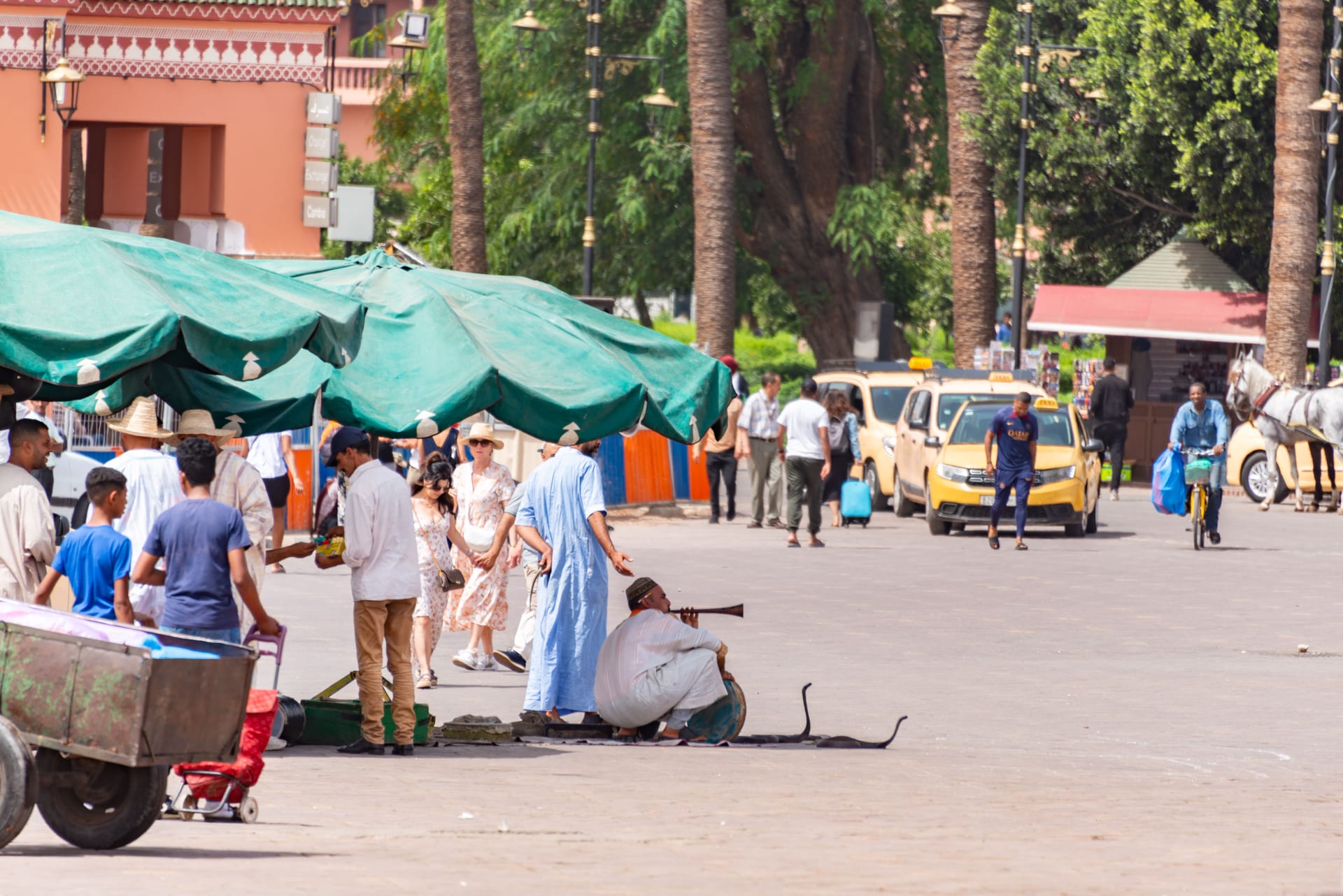 Snake charmer performing at Jemaa el-Fna square in Marrakech