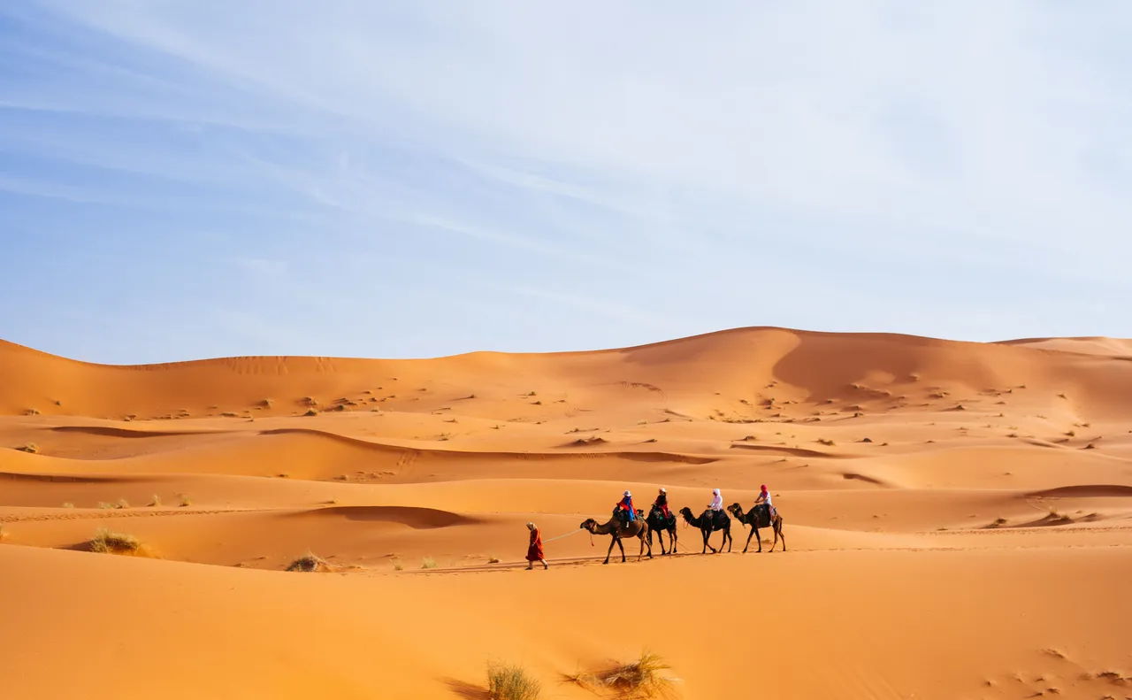 Camel caravan crossing the Erg Chebbi dunes by day near Merzouga