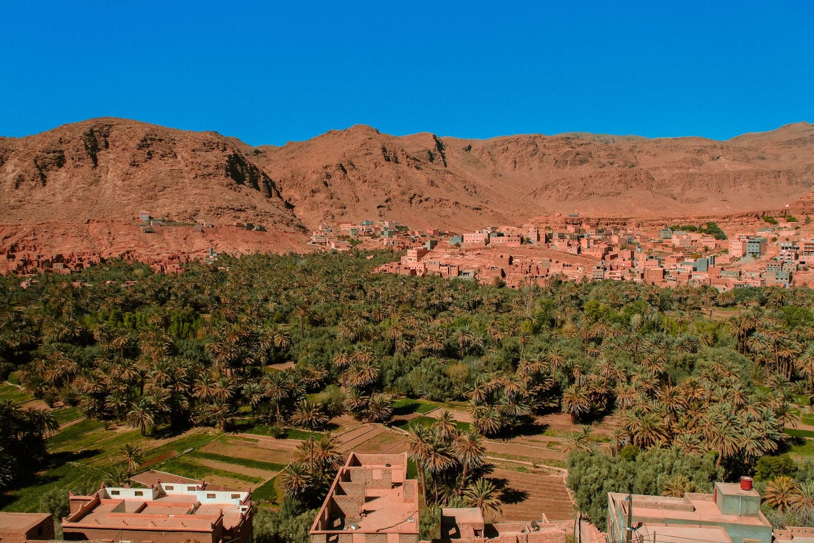 Village and palm grove at the foot of the Atlas Mountains